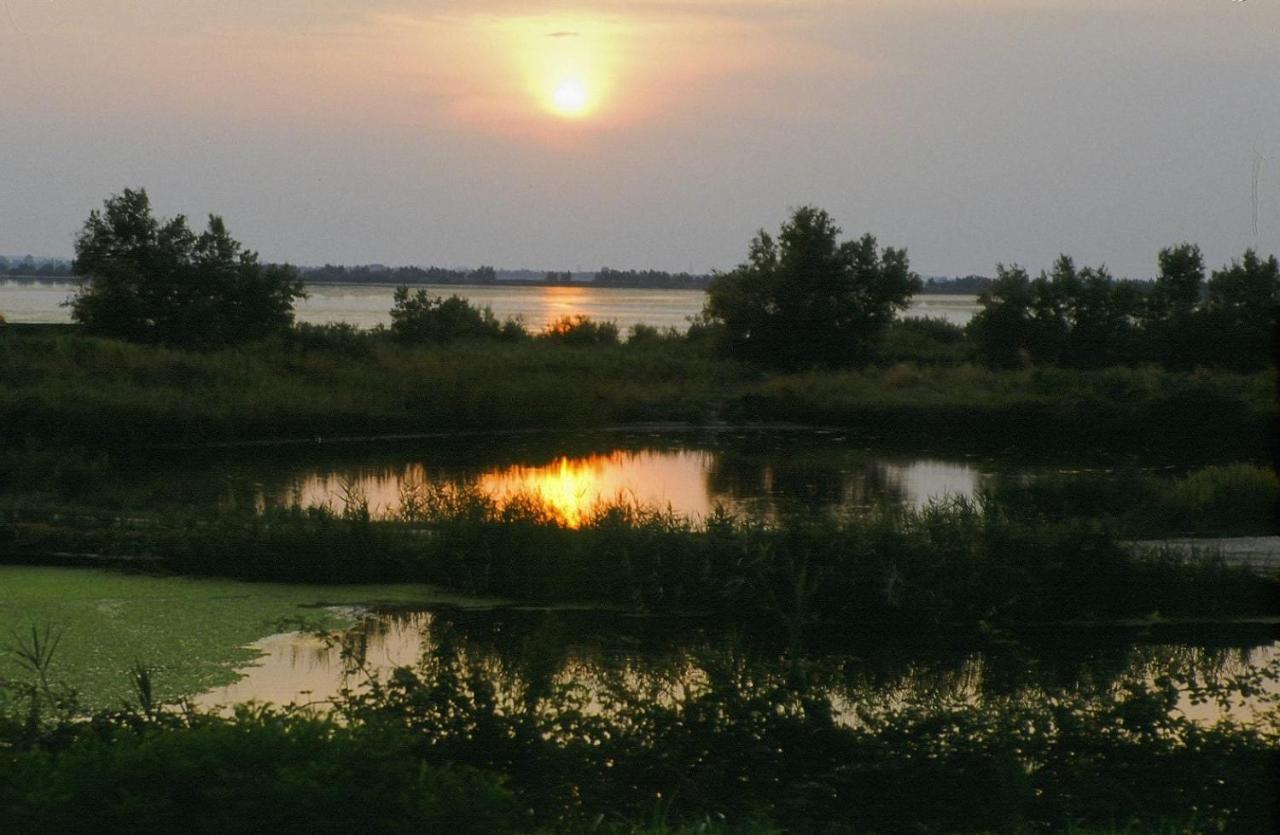 Tize Village Rosolina Εξωτερικό φωτογραφία